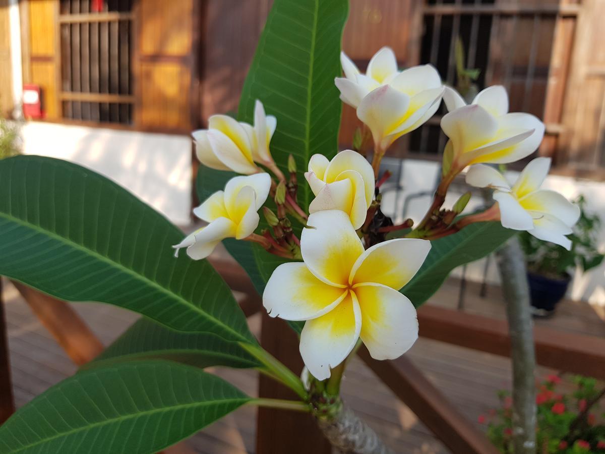 Experience Island Heritage Home Pantai Kok Εξωτερικό φωτογραφία