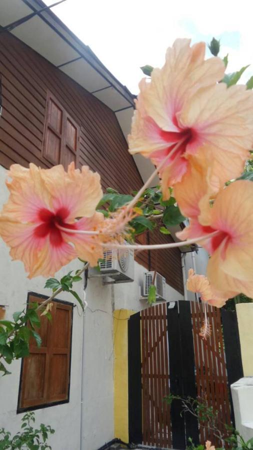 Experience Island Heritage Home Pantai Kok Εξωτερικό φωτογραφία
